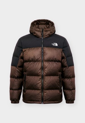 The North Face, DIABLO 2.0 HOODIE - Μπουφάν με πούπουλα - dark chestnut/black