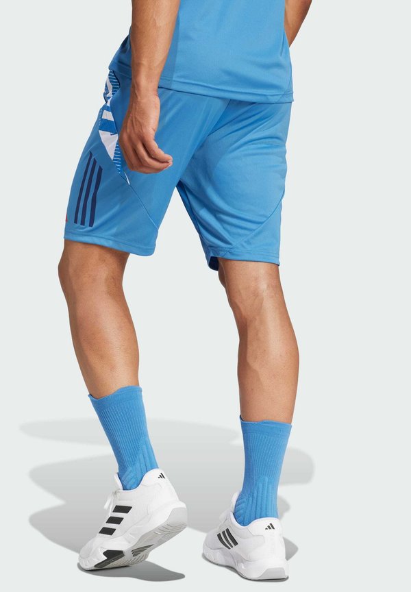 FRANCE GYM - Sports shorts3