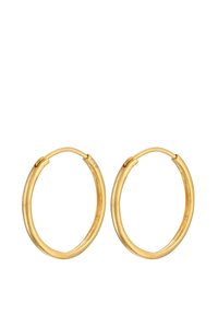 Guldörrhängena har en slät, polerad yta; cirkulär form; fästa med en gångjärnsstängning; minimal design utan ytterligare utsmyckningar.