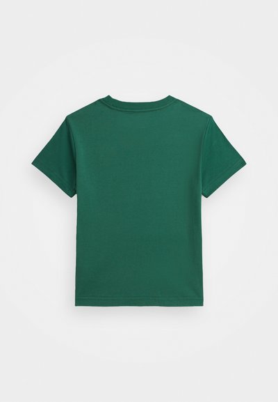 Polo Ralph Lauren COTTON JERSEY CREWNECK TEE 7-14Y - Pamata T-krekls - stuart green