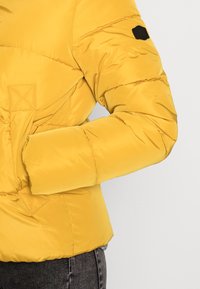 Žlutá péřová bunda s prošívaným designem, s černým akcentem na rukávu a úzkým střihem v pase. Texturovaná látka.