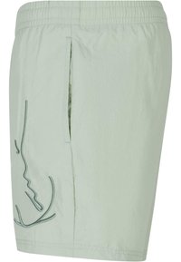 Lys grønne shorts med elastisk talje, sidelomme og brodert linjekunstaksent på venstre side. Teksturert stoff.