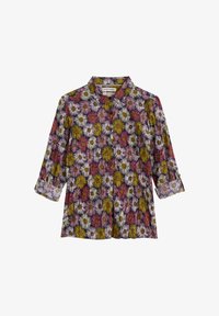 Valitud, multi painted asters maritime