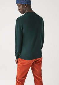 Maglione verde scuro a maniche lunghe, con polsini e orlo a coste, abbinato a pantaloni in velluto a coste arancioni. Vista posteriore che mostra cuciture sulle spalle sottili.