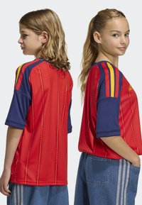 Röd tröja med blå ärmar, med vertikala linjer och orange accenter. Lös passform med rundad halsringning och uppvikta muddar.