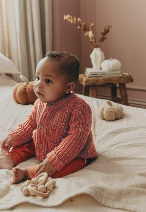 Next, REGULAR FIT - LITTLE PUMPKIN SLOGAN BABY CARDIGAN UNISEX - Cardigan - orange