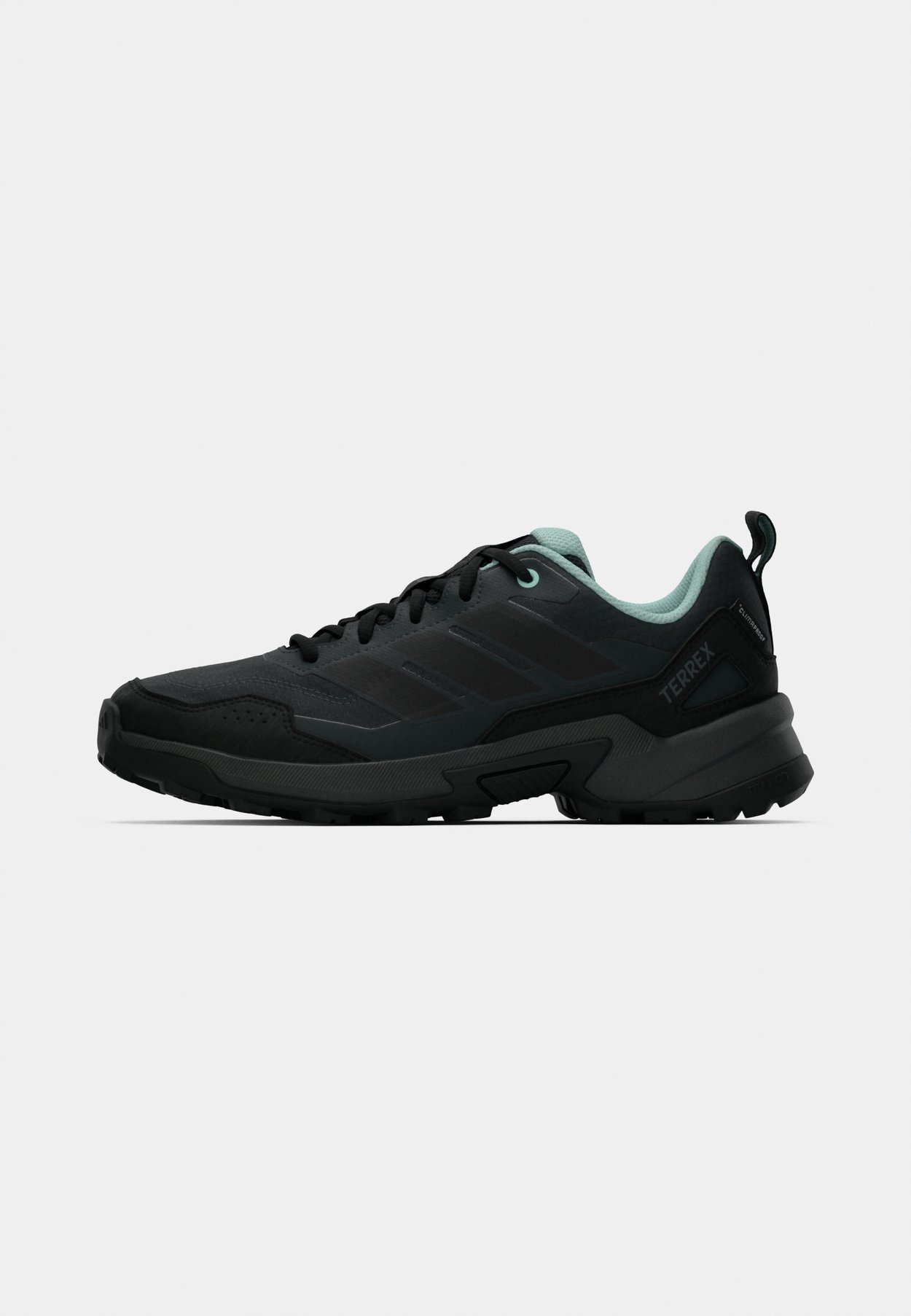 EASTRAIL 3