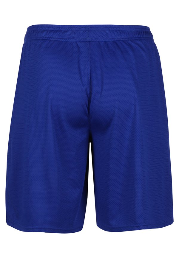 TECH MESH - Sports shorts - royal3