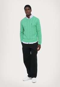 Un pulover verde cu model tricotat, purtat peste o cămașă cu dungi albastre și albe, asortat cu pantaloni negri și adidași albi. Modelul stă în fața unui fundal deschis.