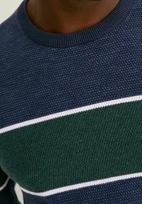 Stickad tröja i marinblått och grönt med ett strukturerat mönster. Har vita horisontella ränder över bröstet och en ribbad halsringning.