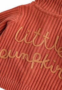 Next REGULAR FIT - Strickjacke - orange