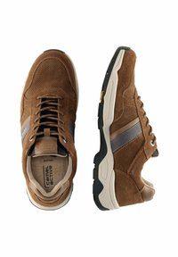 camel active - Sneakersy niskie