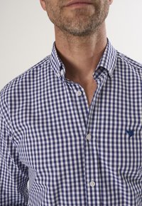 Blauw-witte geruite overhemd met knopen en een spread collar, met een klein logo op de borst en een soepele katoenstructuur.