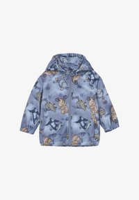 Selected, flint stone