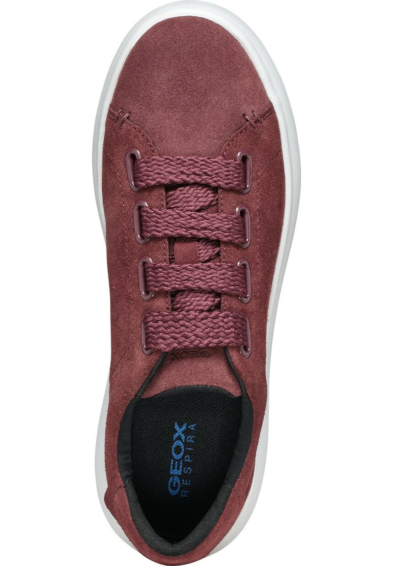 Bordeaux suedine sneaker met zes gevlochten veters, rubberen witte zool en een zwarte binnenkant met "GEOX RESPIRA" branding in het blauw.