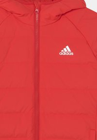 Veste matelassée rouge avec fermeture éclair à l'avant et logo Adidas blanc sur la poitrine, dotée d'un col montant.
