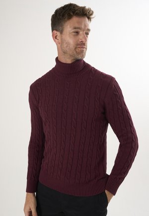 CABLE TURTLENECK - Jumper - bordeaux