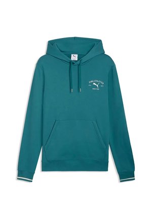 Puma, CLASS GRAPHIC HOODIE - Sweat à capuche - emerald ice
