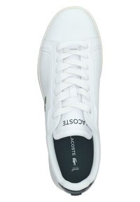 Baskets Lacoste en cuir blanc avec lacets blancs, semelle intérieure noire et logo crocodile sur le côté.