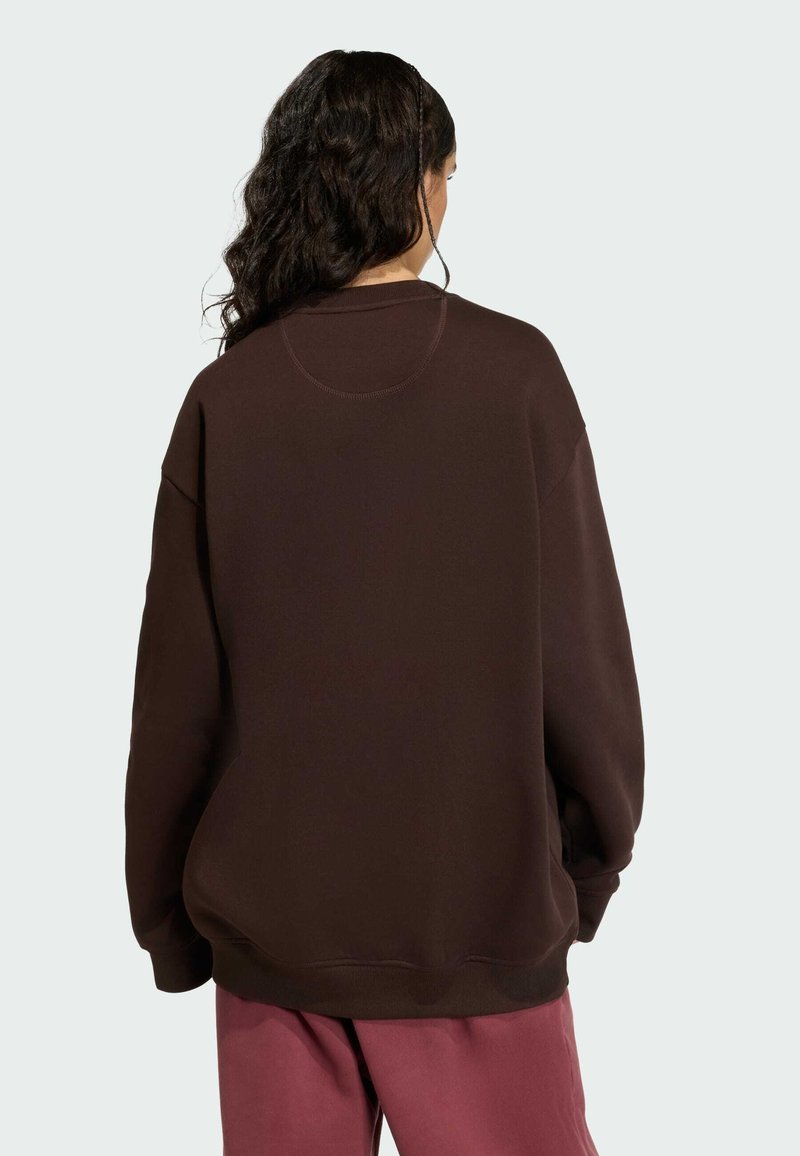 Brown oversized sweatshirt with round neckline, dropped shoulders, and ribbed cuffs. Soft fabric and relaxed fit. Worn with light pink pants.