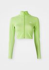 FIREBIRD - Tréning dzseki - signal green