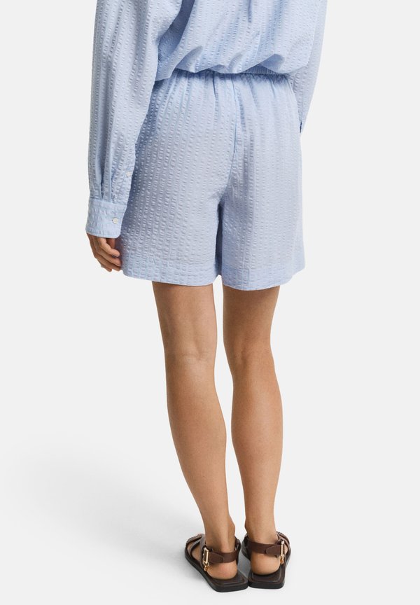 TONAL STRIPED  - Shorts2