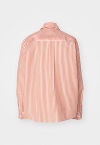 Long-sleeve shirt with orange and white vertical stripes, buttoned cuffs, and a classic collar shown from the back on a white background.