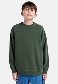 Groene sweatshirt van zacht materiaal, met een ronde hals en ribgebreide manchetten. Het heeft een subtiele merklogo op de borst en een losse pasvorm.