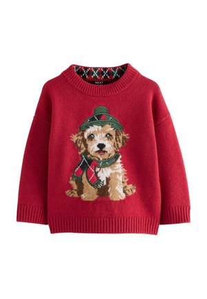 Roter Strickpullover mit einem strukturierten Bild eines Hundes, der einen grünen Hut und einen Schal trägt, mit gerippten Bündchen und Saum.