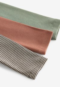 Next 3 PACK - Legíny – nohavice - rust brown sage green stripe