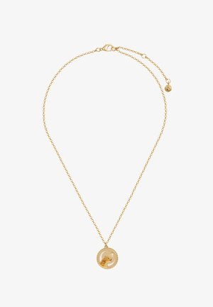 Kuldne kett-kaelakee ümmarguse ripatsiga, mis kujutab poolkuud, tähte ja lohe pead.