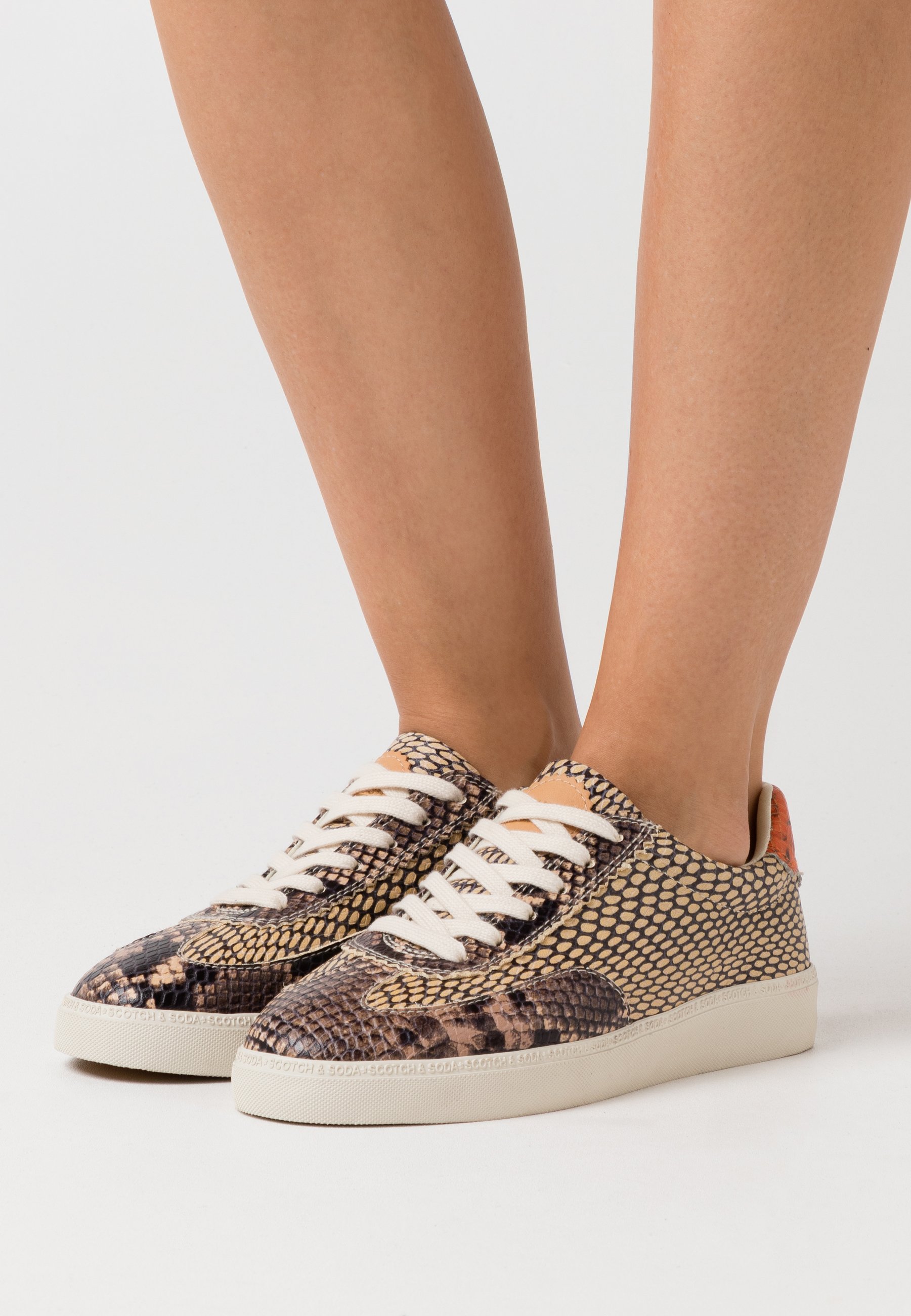 Scotch \u0026 Soda LAURITE - Sneakers laag - camel - Zalando.be