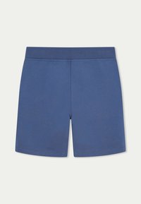 Shorts en coton bleu avec une taille plate. Texture lisse, design simple et coupe droite sans poches ni motifs.