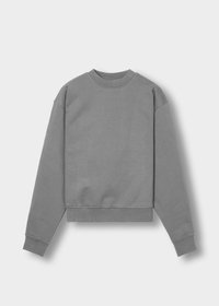 Gray sweatshirt with a crew neck, long sleeves, and ribbed cuffs. Features a subtle logo on the sleeve and a soft, textured fabric.