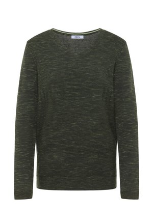 Jersey verde de cuello en V hecho de tejido de punto texturizado con rayas sutiles y mangas largas, con una etiqueta que dice "CECIL" en el cuello.