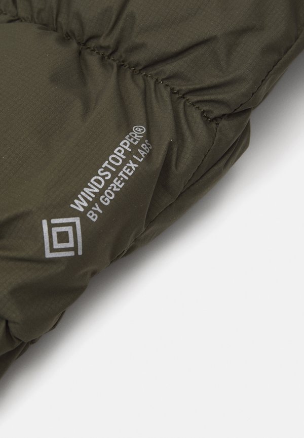 CHARLY MITTEN UNISEX - Mittens - forest night3