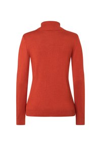 Roodbruine, lange mouwen coltrui met een aansluitend ontwerp en geribbelde manchetten. Gladde textuur, zonder zichtbare patronen of accenten.