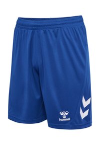 Blå sportshorts i lätt material med elastisk midja. Har vitt logotyp och chevronaccenter på sidorna.