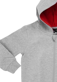 Felpa grigia con zip, interna rossa, caratterizzata da una texture morbida, maniche lunghe e una tasca frontale. Il design include polsini a costine.