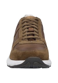 Hnědé tenisky s svrchním materiálem z nubuku a síťoviny, kulatou špičkou, šněrováním vpředu, polstrovaným límcem, bílou mezipodešví a texturovanou černou gumovou podešví.