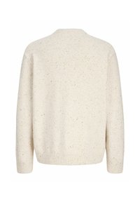 Pull en laine écru avec des taches multicolores, manches longues, poignets, ourlet et encolure ronde à côtes, vu de dos.