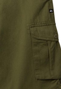 Quiksilver CRUCIAL BATTLE  - Shorts - gph