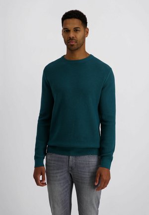 Mann trägt einen türkisfarbenen, langärmligen Strickpullover und graue Jeans, steht vor einem schlichten hellgrauen Hintergrund.