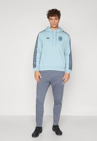 Light blue hooded sweatshirt with black stripes, featuring a logo and a front pocket. Gray sweatpants with white side accents, paired with black shoes.