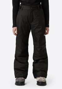 The North Face FREEDOM INSULATED PANT - Snow pants - black