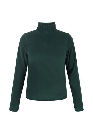 Pullover in pile verde scuro con colletto alto, apertura a zip a un quarto, maniche lunghe e trama liscia. Nessun motivo o rifinitura presente.