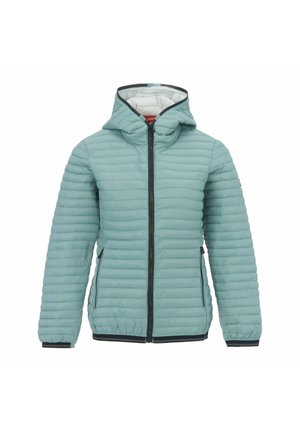 Regatta, REGATTA RIGAIN PUFFER JACKETS - Outdoor jacket - green