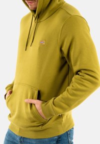 Dickies OAKPORT HOODIE - Sweatshirt com capuz - green moss