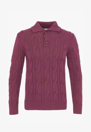 Pull prune à manches longues en maille torsadée avec col rabattu et trois boutons sur le devant.