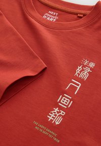 Roostevärvi lühikeste varrukatega särk, millel on valged vertikaalsed Aasia tähemärgid tikitud ja väike roheline tekst "THE LADYS GRAPHIC NO 16 SEPT 1ST 1908."